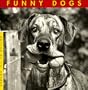 Funny Dogs