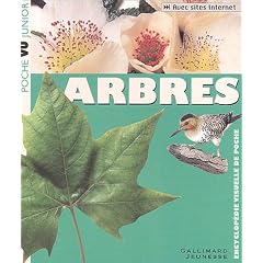 Arbres