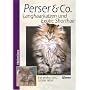 Perser und Co. Langhaarkatzen und Exotic Shorthair