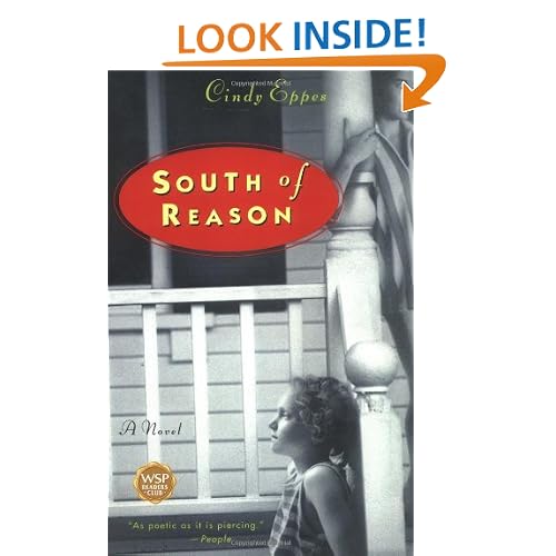 South of Reason: A Novel