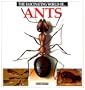 The Fascinating World of Ants