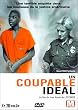 Un Coupable id�al