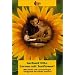 Lernen mit Sunflower: Wie Kinder mit Lernst�rungen erfolgreich die Schule meistern