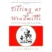 Tilting at Windmills: A Novel of Cervantes and the Errant Knight