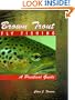 Brown Trout Fly Fishing: A Practical Guide