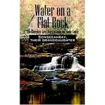 Water on a Flat Rock: The Cherokee Love Story of John and Annie Coker book cover