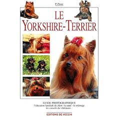 Le Yorkshire-Terrier