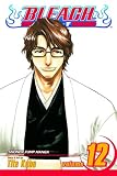 Bleach: v. 12