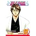 Bleach, Vol. 12