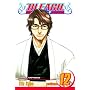 Bleach: v. 12