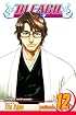 Bleach, Volume 12