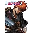 Bleach, Volume 1: The Substitute (Episodes 1-4)