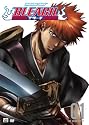 Bleach, Volume 1: The Substitute (Episodes 1-4)