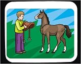 Decorated Mouse Pad with animals, saddle, body, individuals, individual, mammal, colt, humans, horse, person, foal, human, boy, 