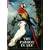 The Parrot in Art: From Durer to Elizabeth Butterworth