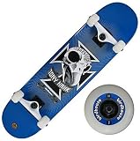 Birdhouse (CPX1035) Tony Hawk Skull 2 Series 7.5-Inch Full Size Complete Skateboard (Blue)