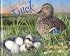 Starting Life: Duck (Starting Life)