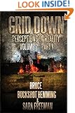 Grid Down Perceptions Of Reality Vol 2 Book 1