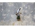 10x8 Photograph (25x20cm) Adult male and female Lesser Kestrel mating at nest site by Ardea
