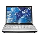 Toshiba Satellite X205-S9359 17" Notebook PC (Intel Core 2 Duo Processor T7300, 2 GB RAM, 320 GB Hard Drive, HD SuperMulti DVD Drive, Vista Ultimate)