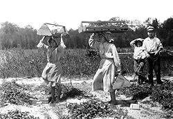 Girls Carry Berries, Delaware, 1910 16x20-inch Photographic Print from the Library of Congress Collection