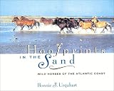 Hoofprints In The Sand: Wild Horses of the Atlantic Coast