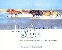 Hoofprints in the Sand: Wild Horses of the Atlantic Coast