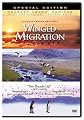 Winged Migration