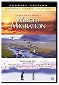 Winged Migration