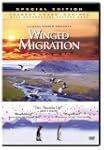 Winged Migration