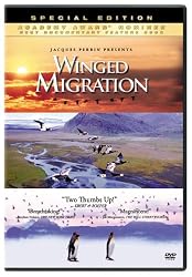 Winged Migration