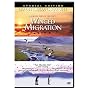 Winged Migration