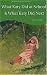 What Katy Did at School and What Katy Did Next: AND What Katy Did Next (Wordsworth Classics)