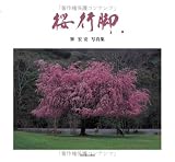桜行脚―巽宏安写真集