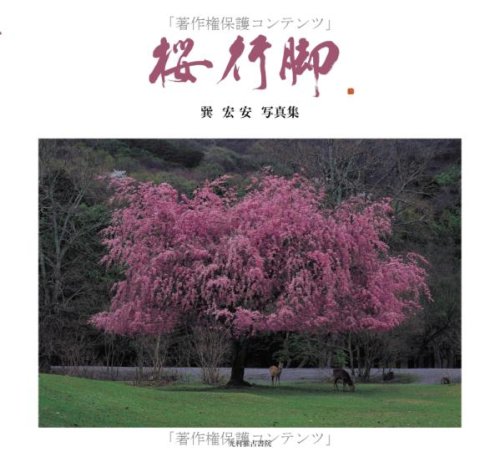 桜行脚―巽宏安写真集