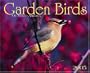 Garden Birds