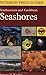 Southeastern & Caribbean Seashores