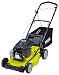 Ryobi RLM 4617 175cc Petrol Lawnmower RYBRLM4617