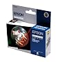 Epson Original Ink Cartridge  T0540 Gloss Optimiser