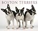Boston Terriers 2012 Calendar