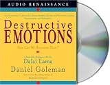Destructive Emotions