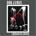 Urban Flamingo