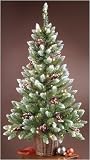 Review CMI  / 4' Pre-Lit Frosted Hawthorne Fir Potted Artificial Christmas Tree - Clear Lights