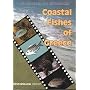Coastal Fishes of Greece