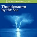 Thunderstorm By the Sea