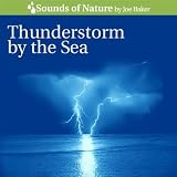 Thunderstorm By the Sea