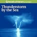 Thunderstorm By the Sea