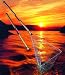 Sporting Goods : A Landing Net That Folds up Inside Its Handle