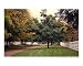 Shaker Village at Pleasant Hill Harrodsburg Kentucky Seasons Photographic Poster Print by Jennifer Holloway, 10x8