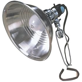 Coleman Cable 05932 6-foot 18 2 SPT Reflector Light with 8.5-inch Reflector by Coleman Cable